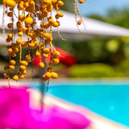 Villa Marmaris Holiday Villas *